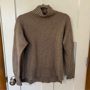 Everlane cashmere turtleneck sweater